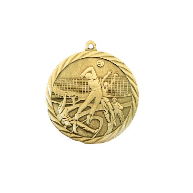 Золотая медаль «Волейбол»