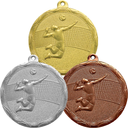 Медали KN81-50 волейбол