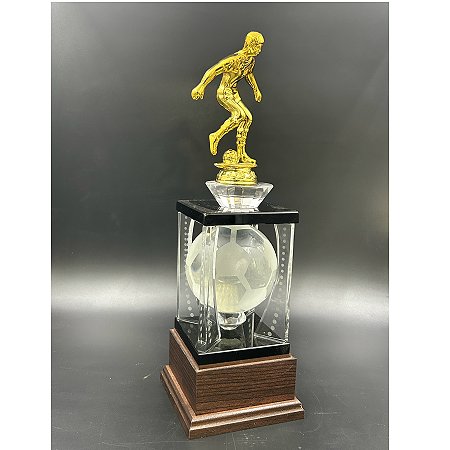 Награда из стекла KN-2301