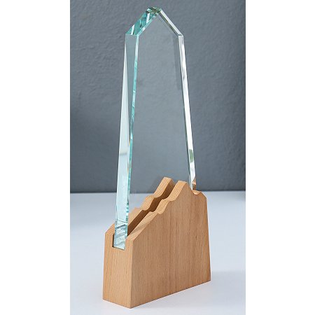 Награда из стекла KN-280104