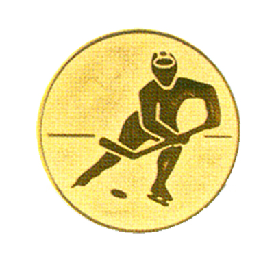 Вставки для медалей и кубков B-R177 хоккей